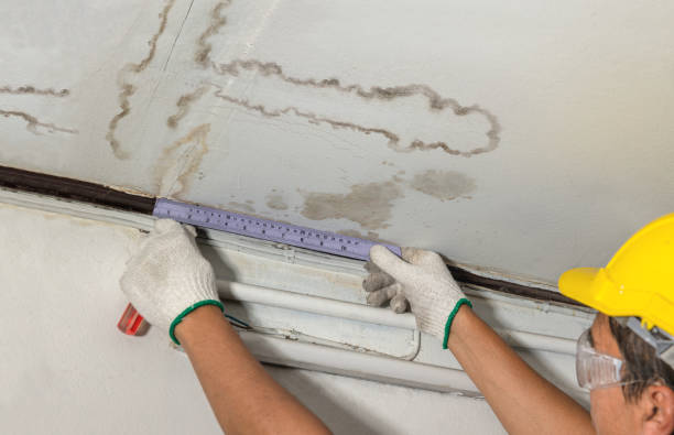 Reliable Mold Remediation contractor in Crestwood, KY by Water Damage Irwin
